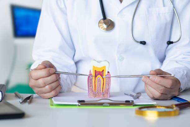 Best Emergency Tooth Extraction  in Clinton, OH
